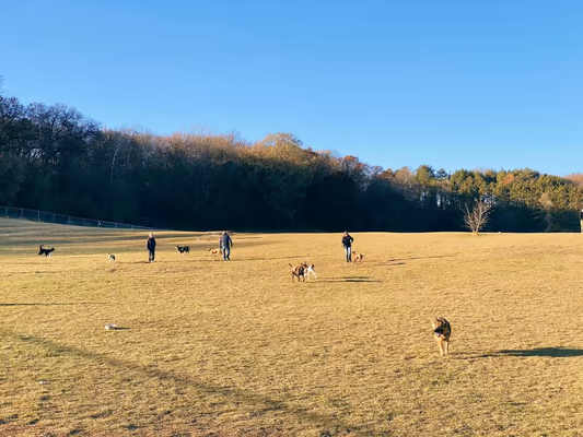 River Road Dog Park photo 1
